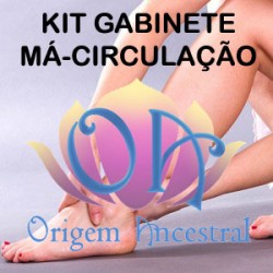 KIT GABINETE MÁ-CIRCULAÇÃO (DESCONTO INCLUÍDO)